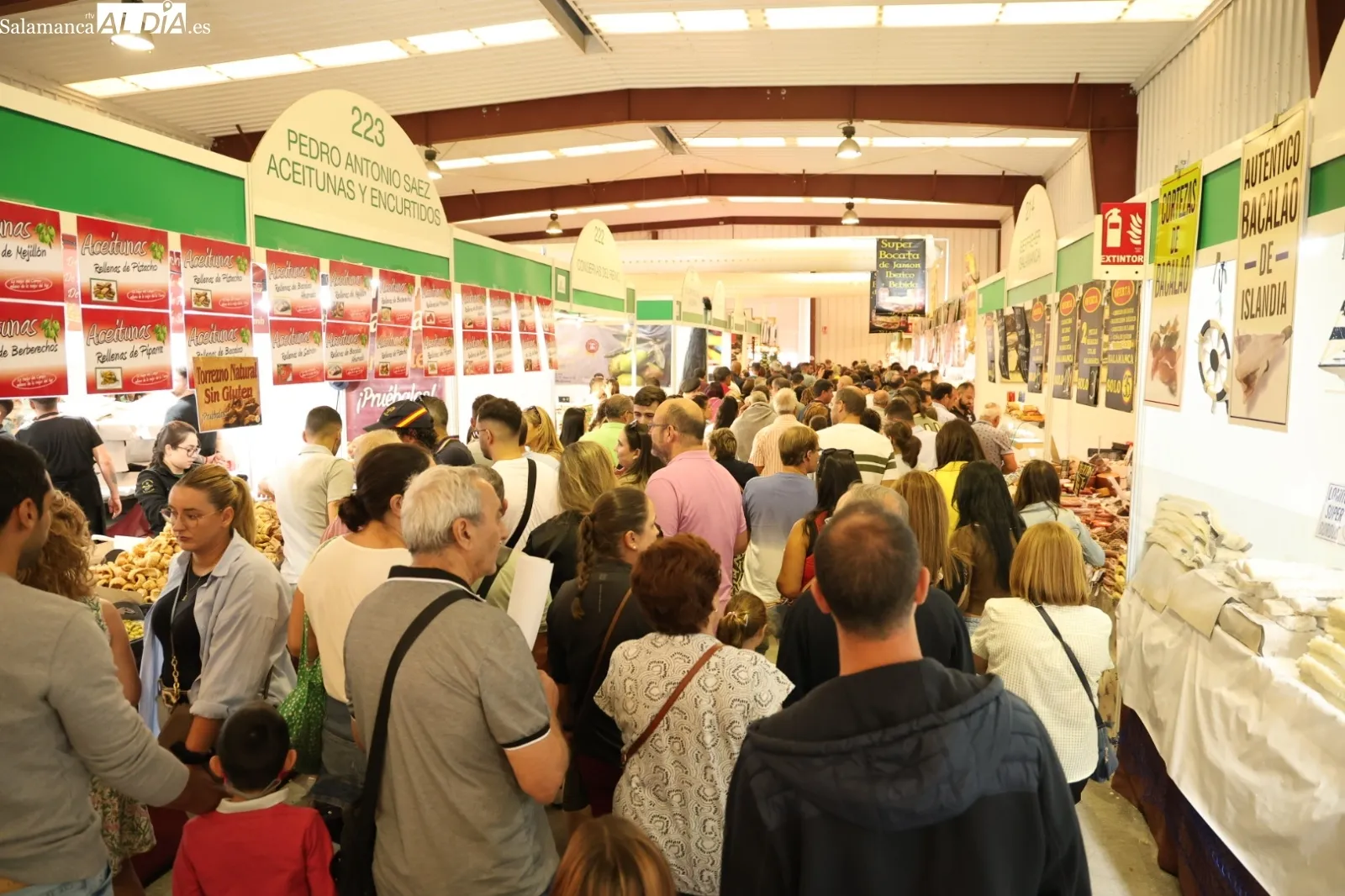 Domingo en Salamaq | Fotos: David Sañudo