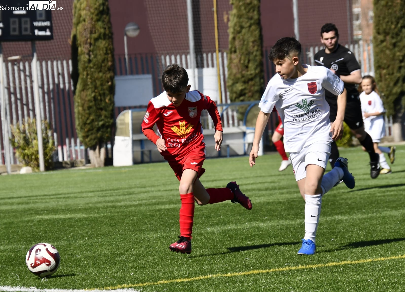 El fútbol base salmantino sigue con buena salud: 48 clubes y más de 400 equipos en competición