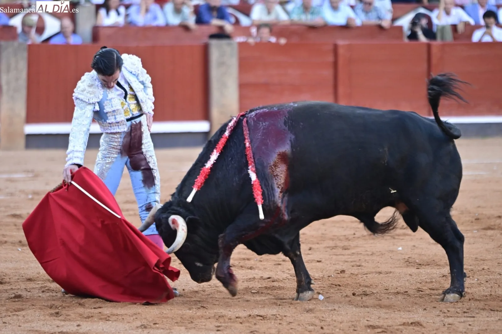 Se hizo justicia | FOTO: SALAMANCArtv AL DÍA