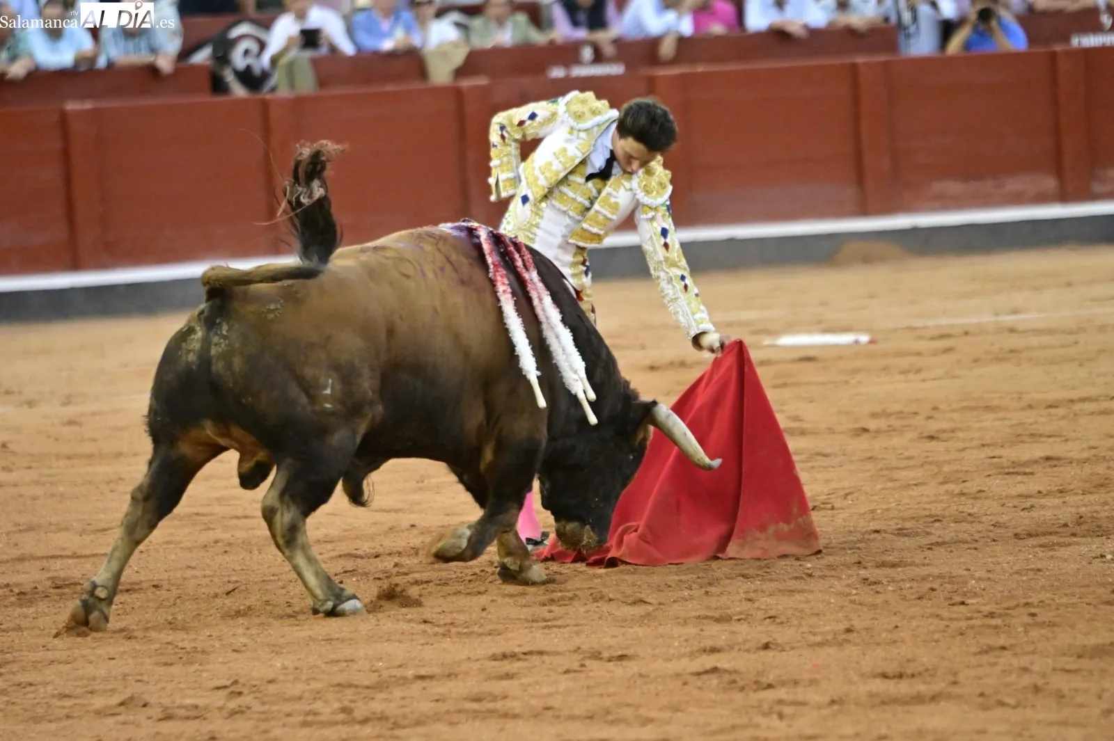 Se hizo justicia | FOTO: SALAMANCArtv AL DÍA