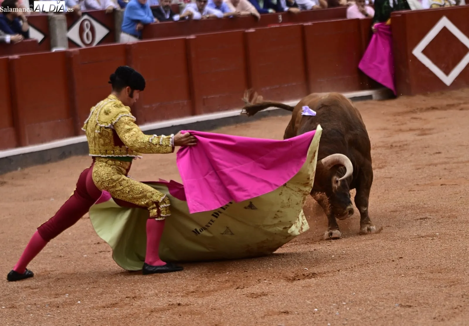 Ismael Martín y Marco Pérez triunfan bajo la lluvia, en la cuarta de abono en La Glorieta | FOTOS: SALAMANCArtv AL DÍA
