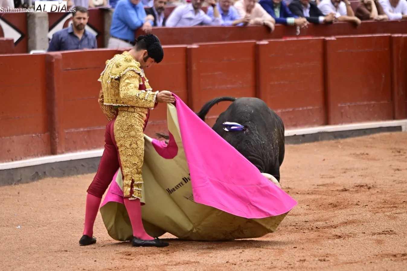 Ismael Martín y Marco Pérez triunfan bajo la lluvia, en la cuarta de abono en La Glorieta | FOTOS: SALAMANCArtv AL DÍA