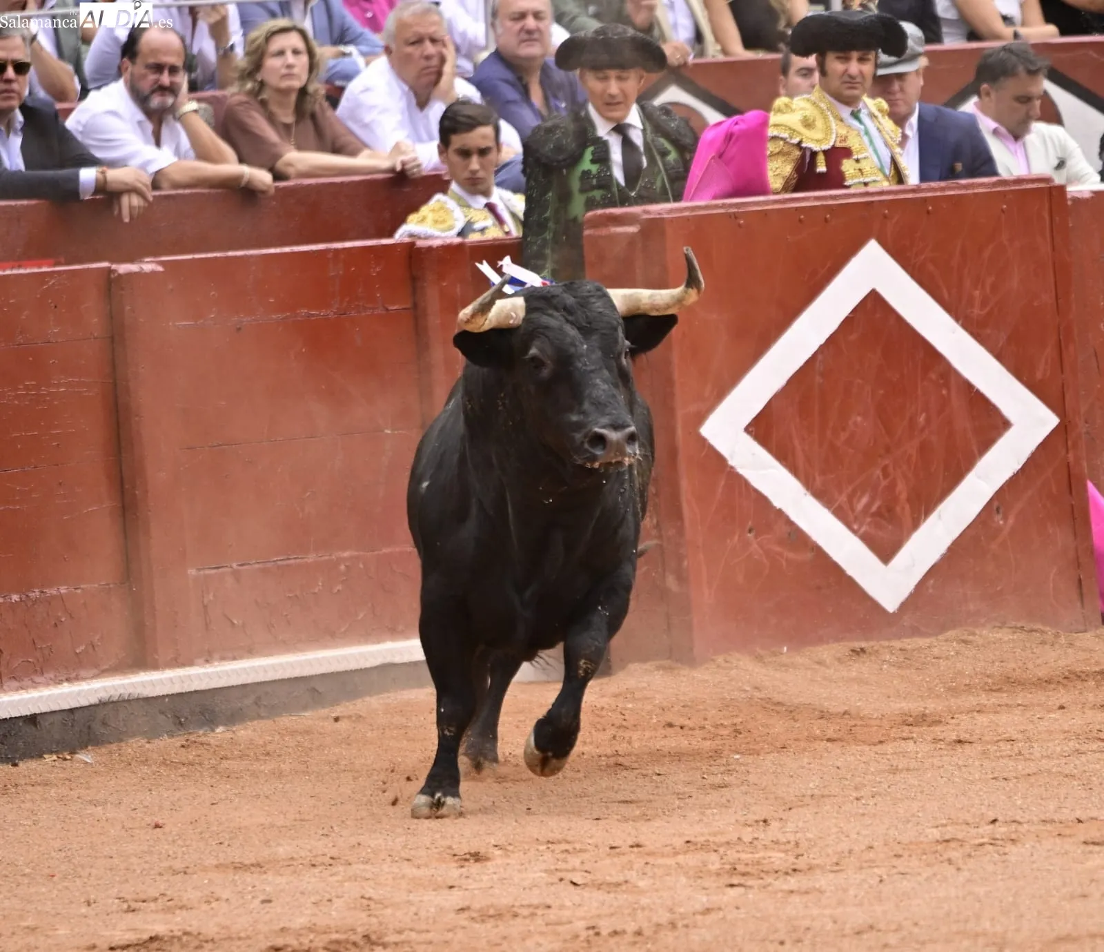 Ismael Martín y Marco Pérez triunfan bajo la lluvia, en la cuarta de abono en La Glorieta | FOTOS: SALAMANCArtv AL DÍA