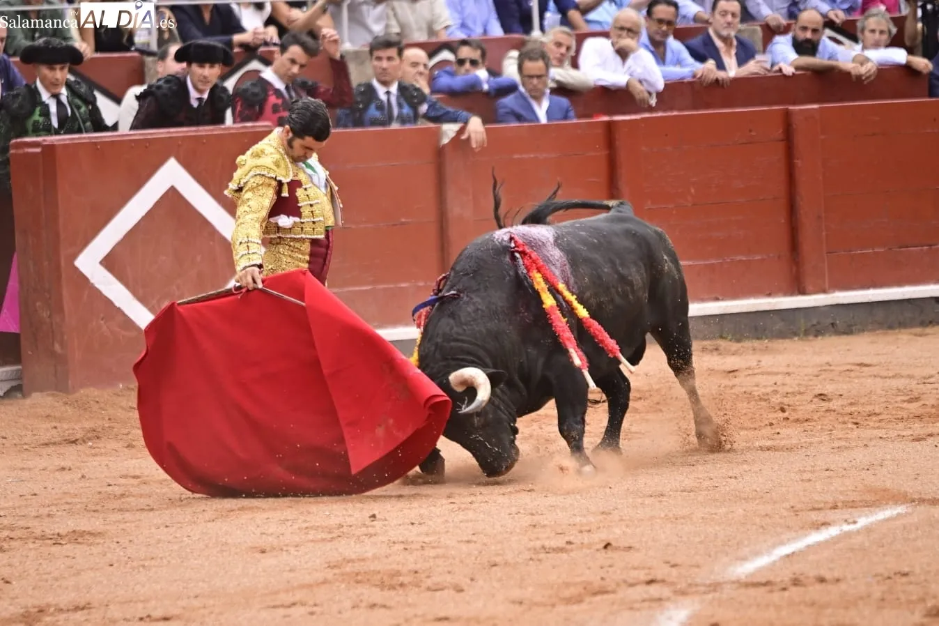 Ismael Martín y Marco Pérez triunfan bajo la lluvia, en la cuarta de abono en La Glorieta | FOTOS: SALAMANCArtv AL DÍA
