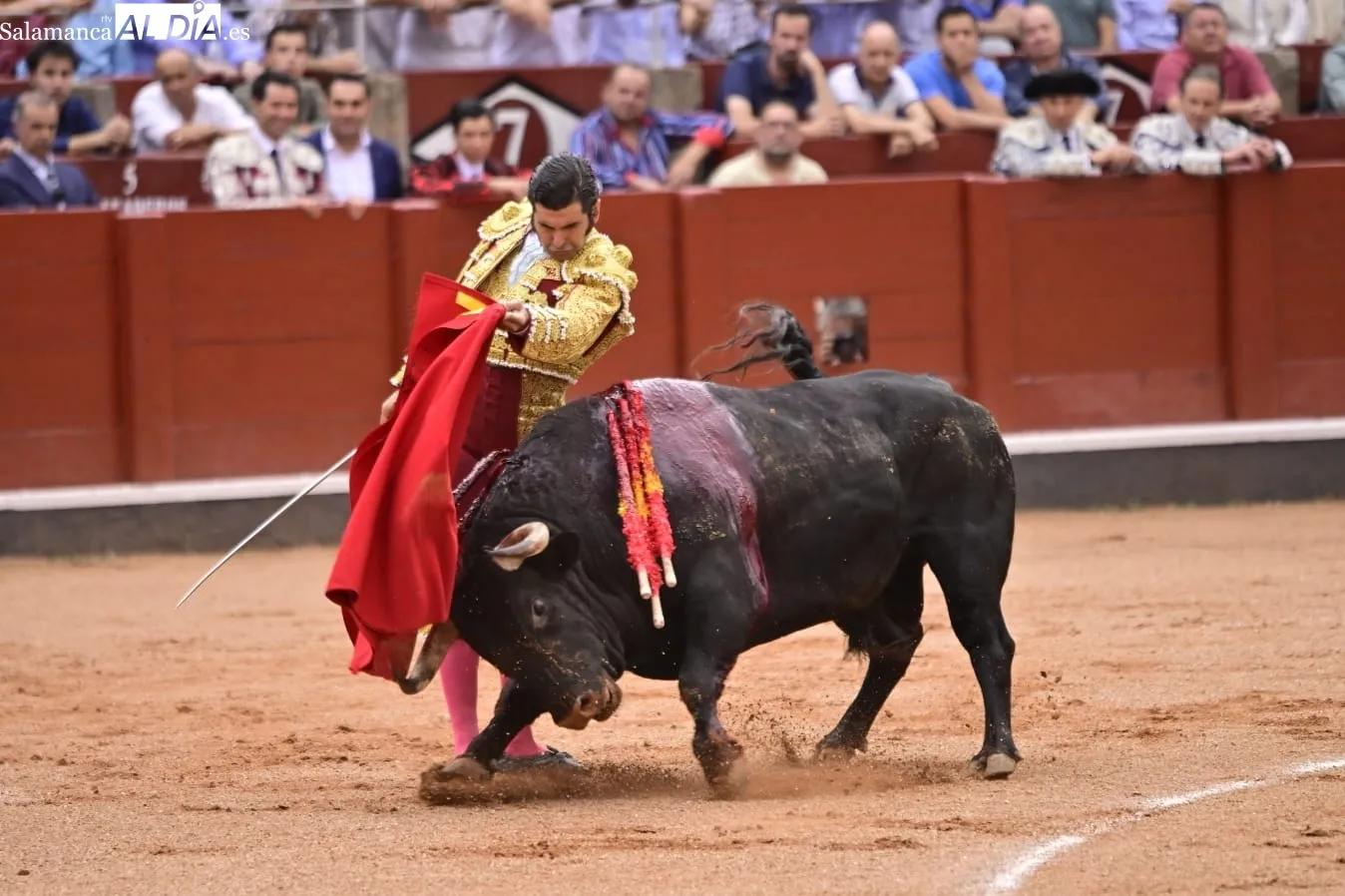 Ismael Martín y Marco Pérez triunfan bajo la lluvia, en la cuarta de abono en La Glorieta | FOTOS: SALAMANCArtv AL DÍA