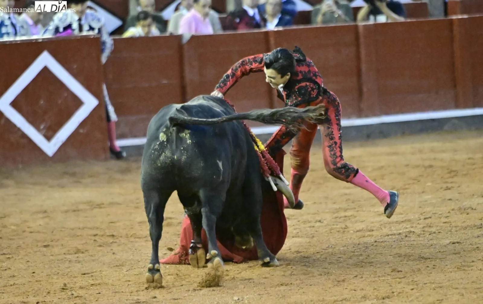 Ismael Martín y Marco Pérez triunfan bajo la lluvia, en la cuarta de abono en La Glorieta | FOTOS: SALAMANCArtv AL DÍA