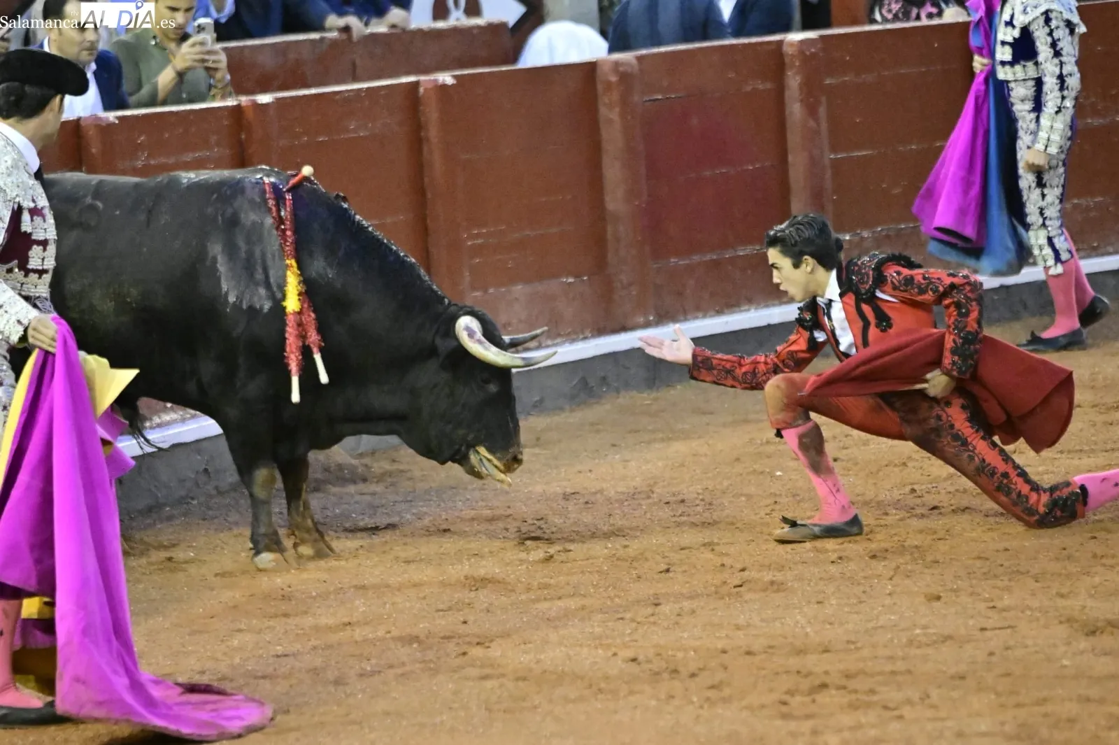 Ismael Martín y Marco Pérez triunfan bajo la lluvia, en la cuarta de abono en La Glorieta | FOTOS: SALAMANCArtv AL DÍA