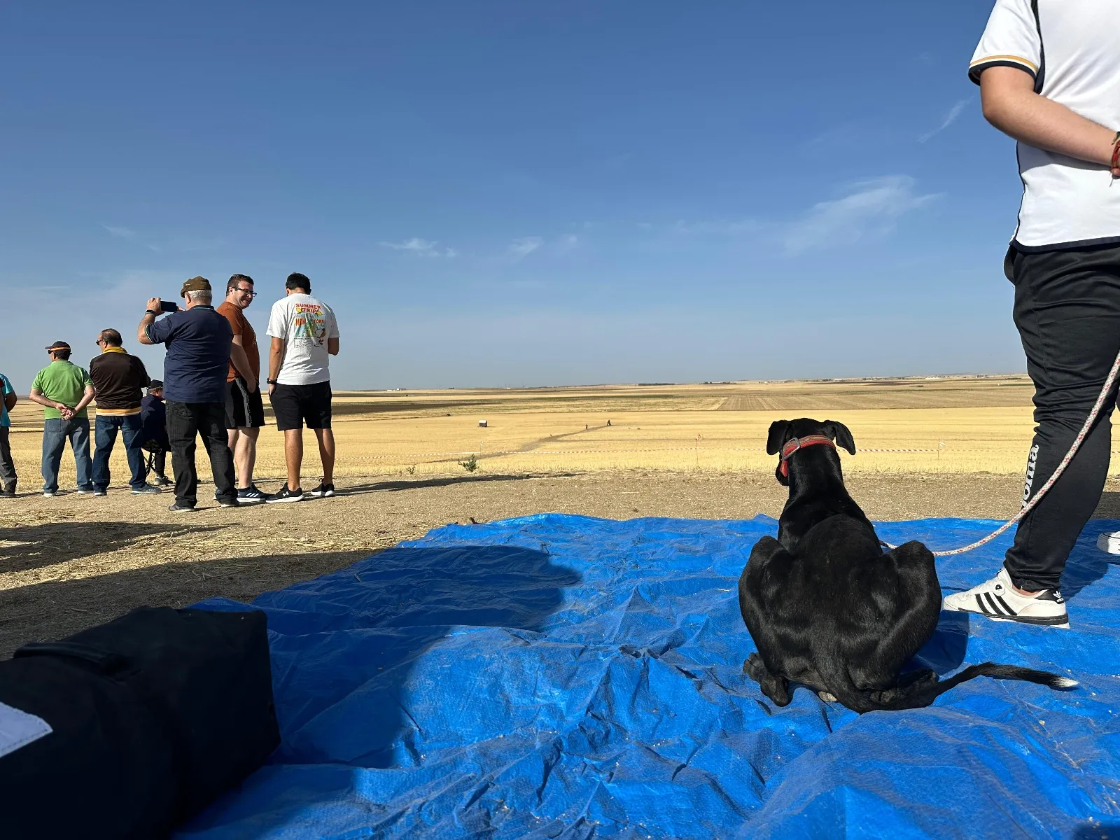 Gran éxito de participación en la II Carrera de Galgos “Ciudad de Peñaranda”