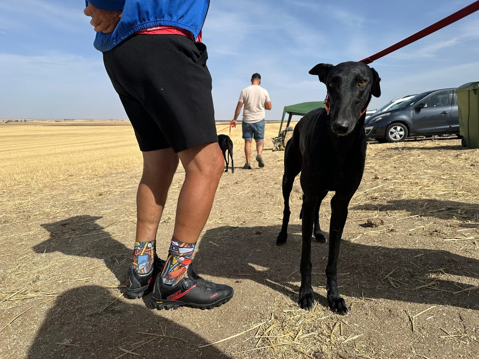 Gran éxito de participación en la II Carrera de Galgos “Ciudad de Peñaranda”