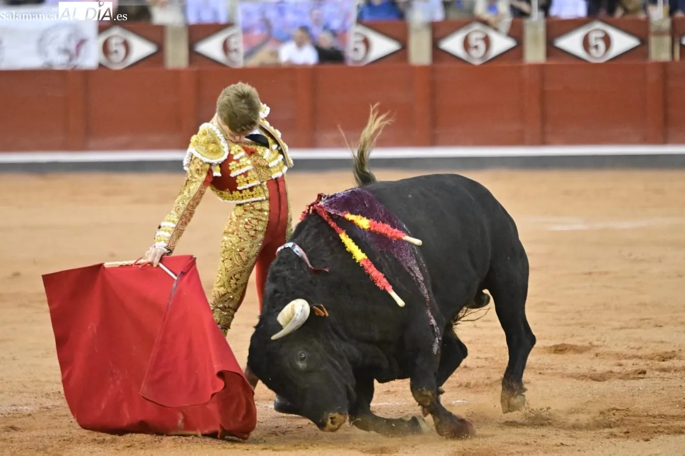 Fotos de la 6ª de abono en la Glorita | SALAMANCArtv AL DÍA