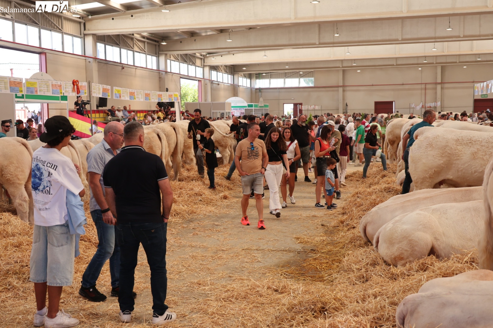 Ambiente sábado en Salamaq