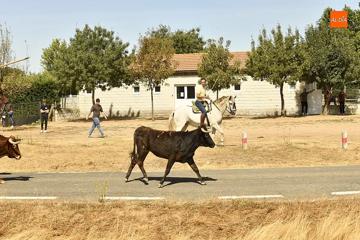 Encierro a Caballo en Aldehuela de Yeltes/ Fotos: Adrián M.Pastor