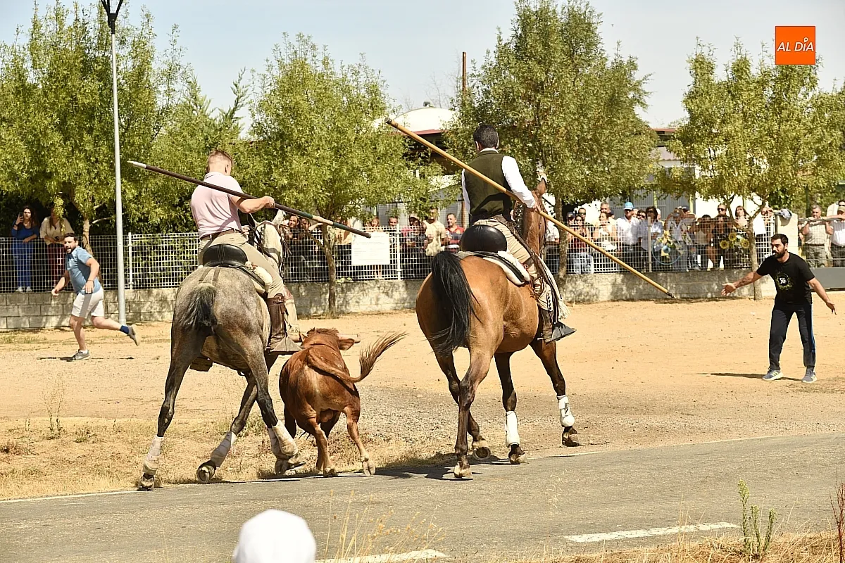 Encierro a Caballo en Aldehuela de Yeltes/ Fotos: Adrián M.Pastor