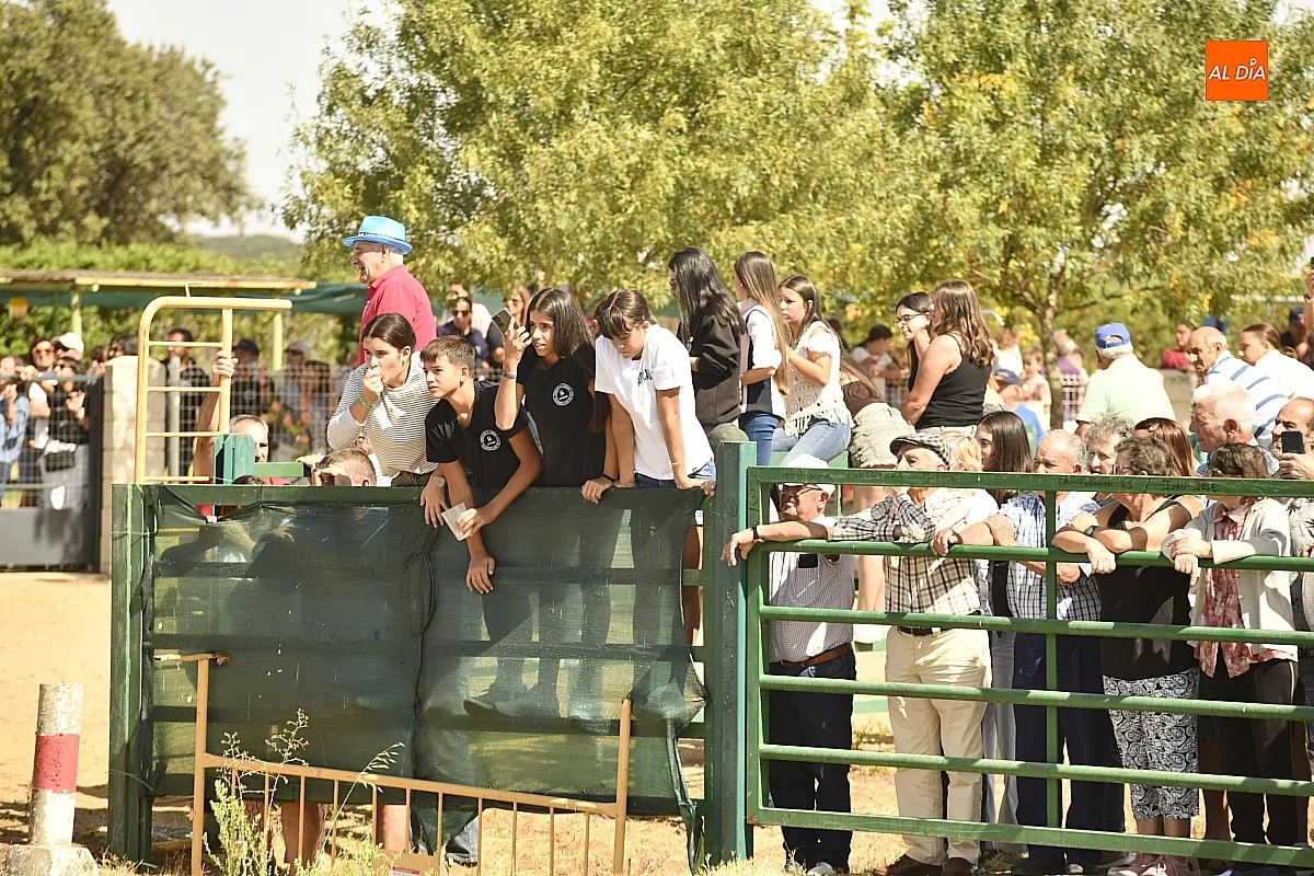 Encierro a Caballo en Aldehuela de Yeltes/ Fotos: Adrián M.Pastor