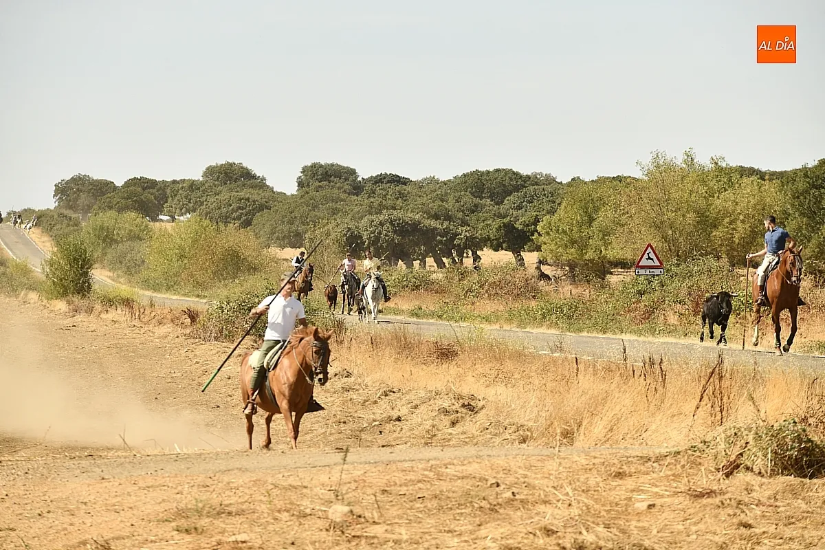 Encierro a Caballo en Aldehuela de Yeltes/ Fotos: Adrián M.Pastor
