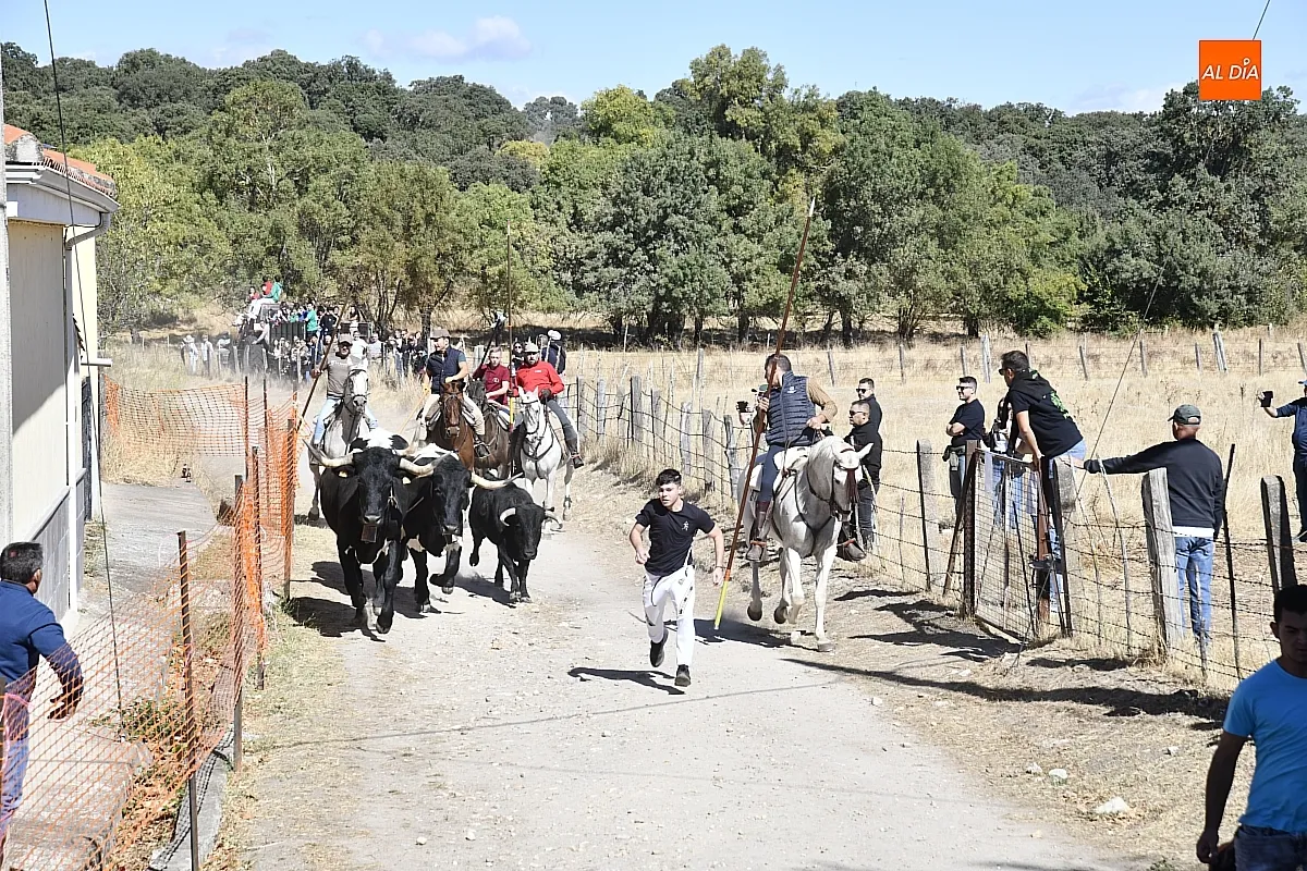 Encierro a caballo en Espeja fiestas de San Lino/ Fotos: Adrián M.Pastor