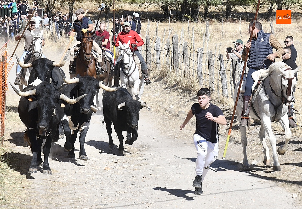 Encierro a caballo  Espeja no complace público aficionado