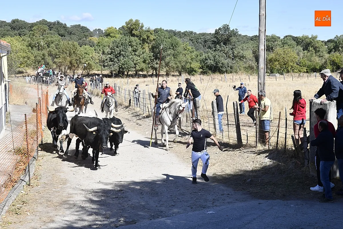 Encierro a caballo en Espeja fiestas de San Lino/ Fotos: Adrián M.Pastor