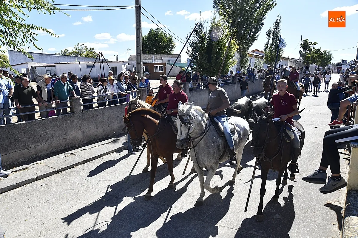 Encierro a caballo en Espeja fiestas de San Lino/ Fotos: Adrián M.Pastor