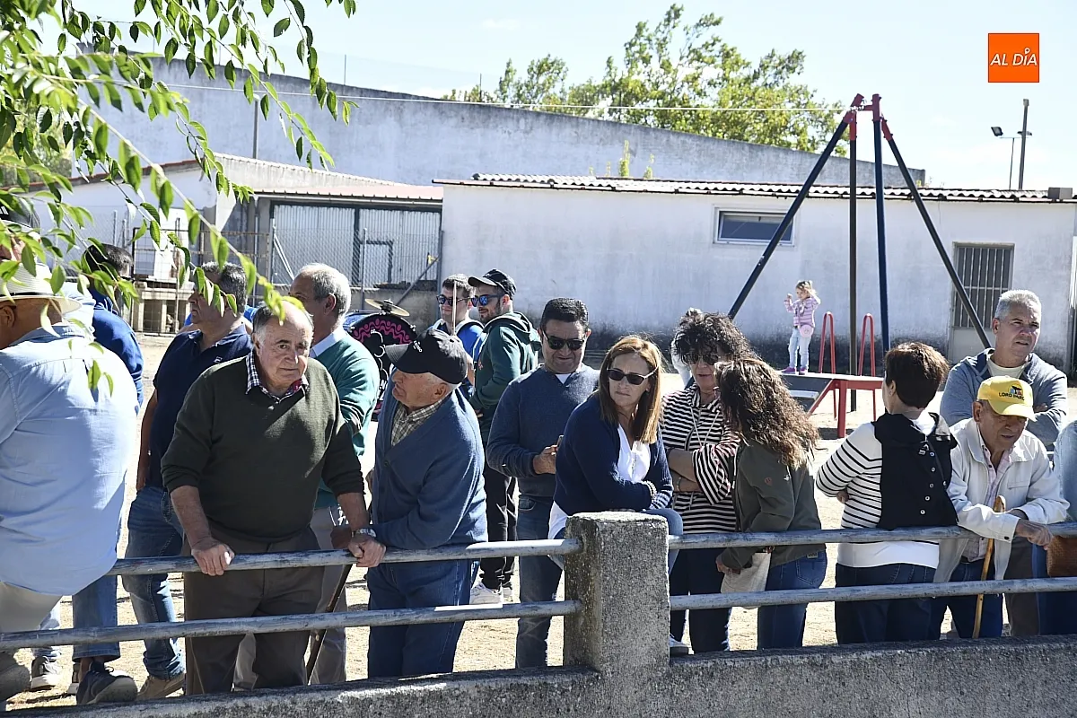 Encierro a caballo en Espeja fiestas de San Lino/ Fotos: Adrián M.Pastor