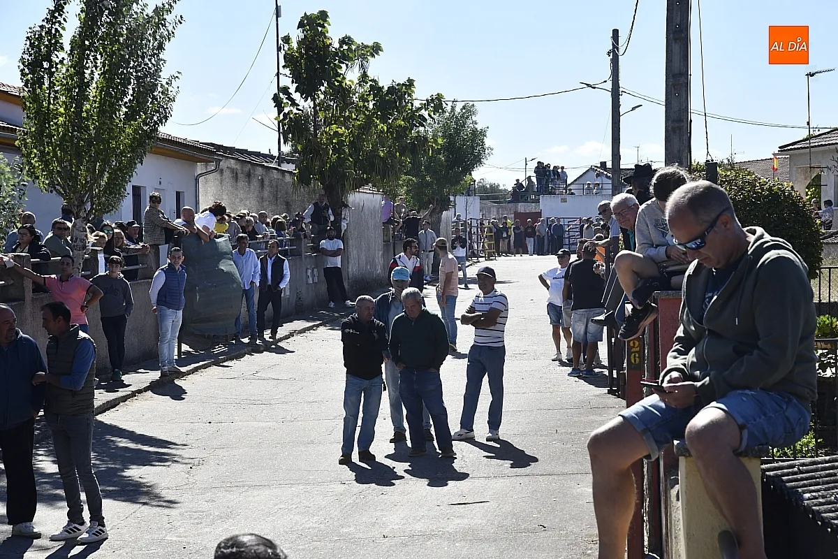 Encierro a caballo en Espeja fiestas de San Lino/ Fotos: Adrián M.Pastor