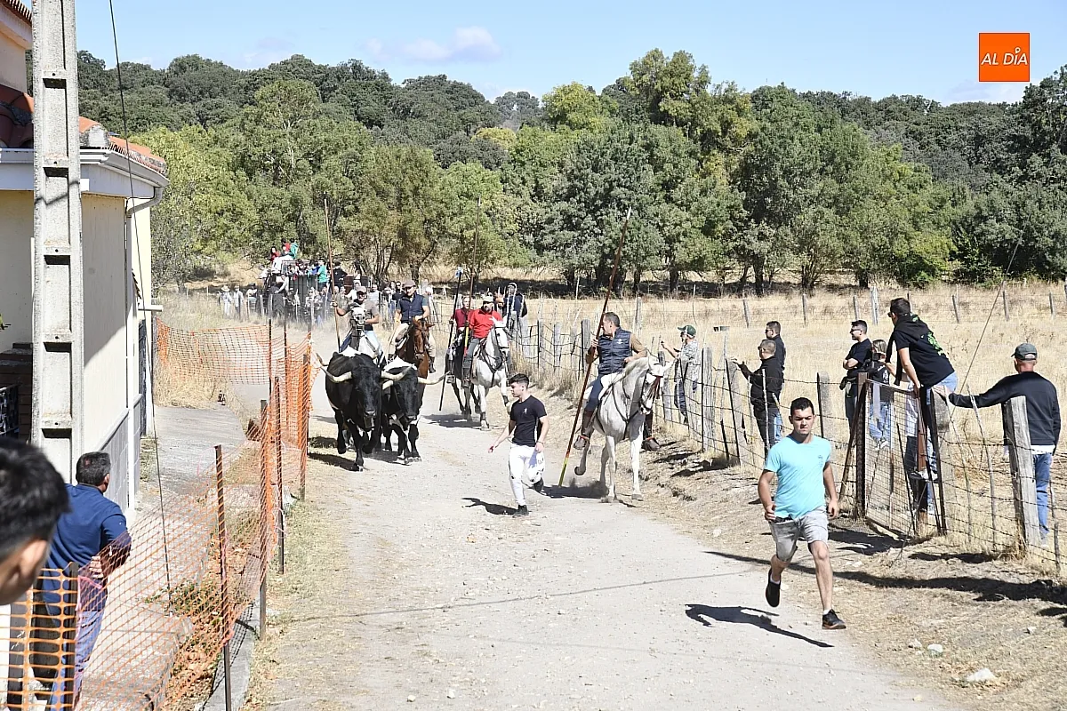 Encierro a caballo en Espeja fiestas de San Lino/ Fotos: Adrián M.Pastor