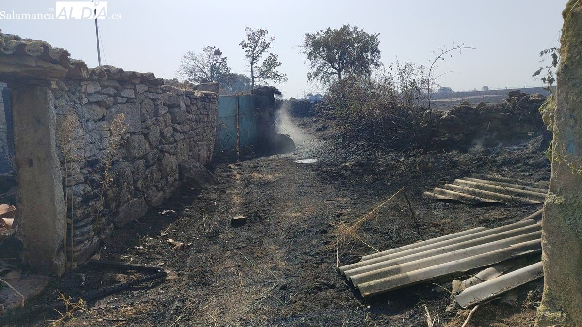 Incendios en CyL: la Junta activa 45 ayudas para afectados