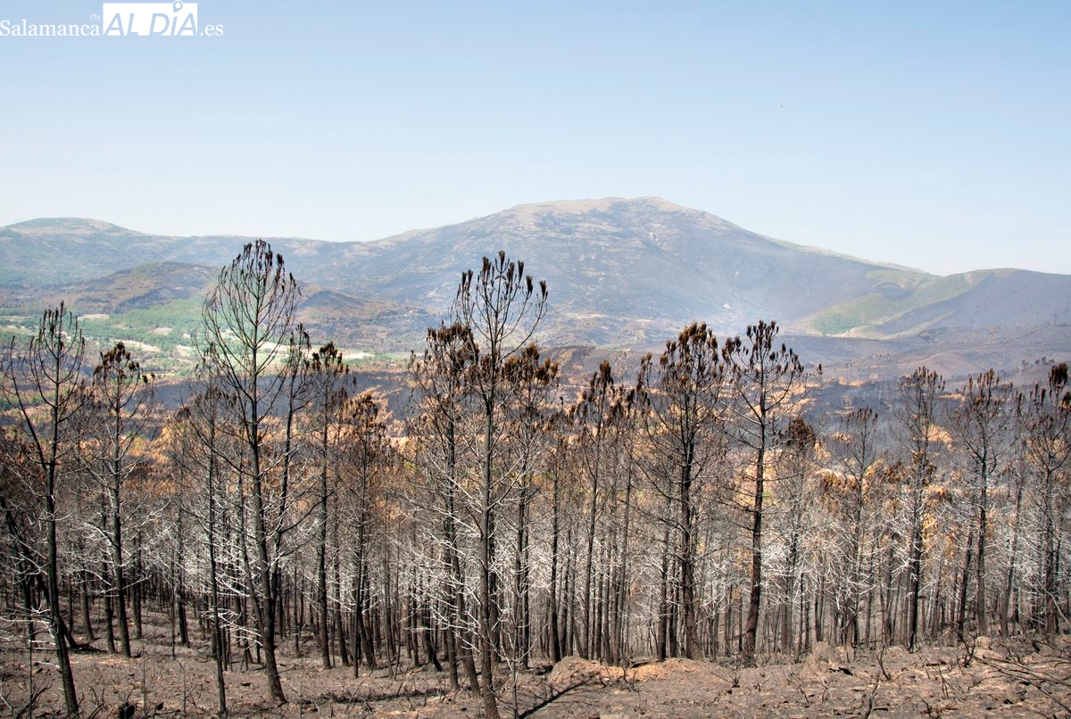 Vídeo poesía de Manuel Lamas titulada Llanto por la Madre Tierra 