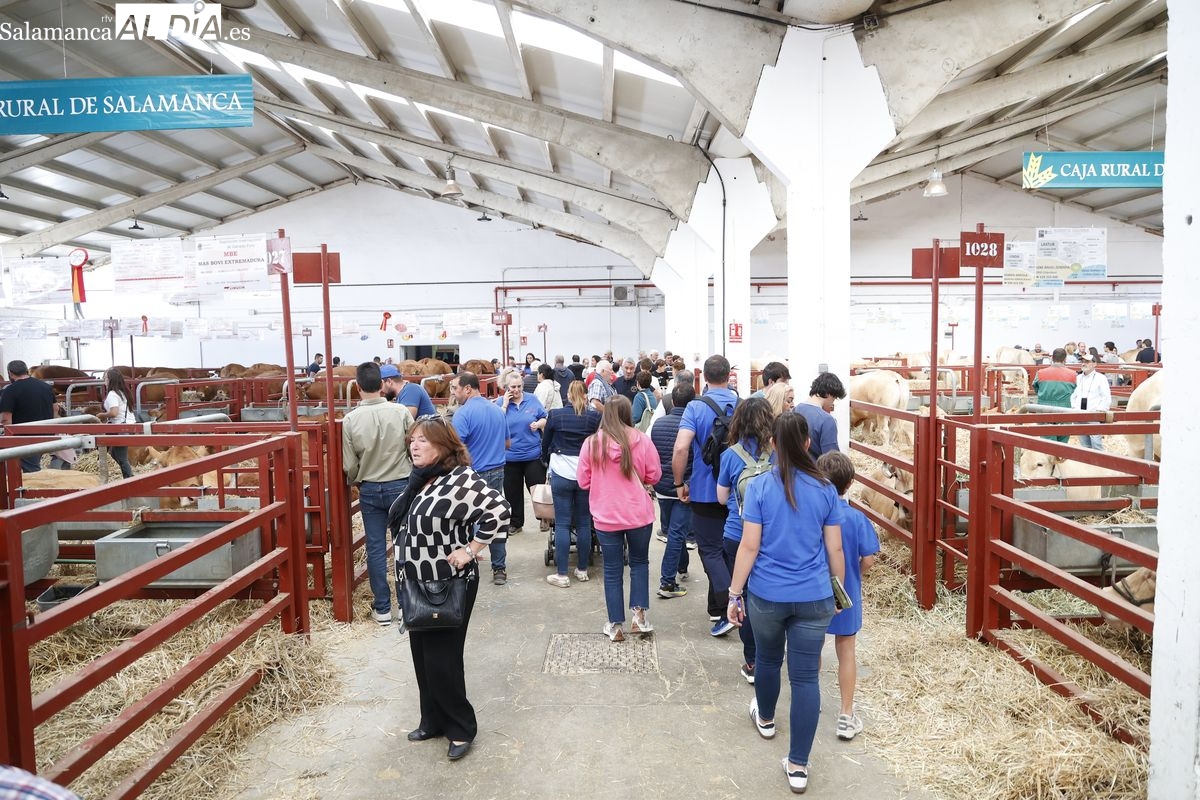 Programa Salamaq 2025: guía completa del 4 al 8 de sep