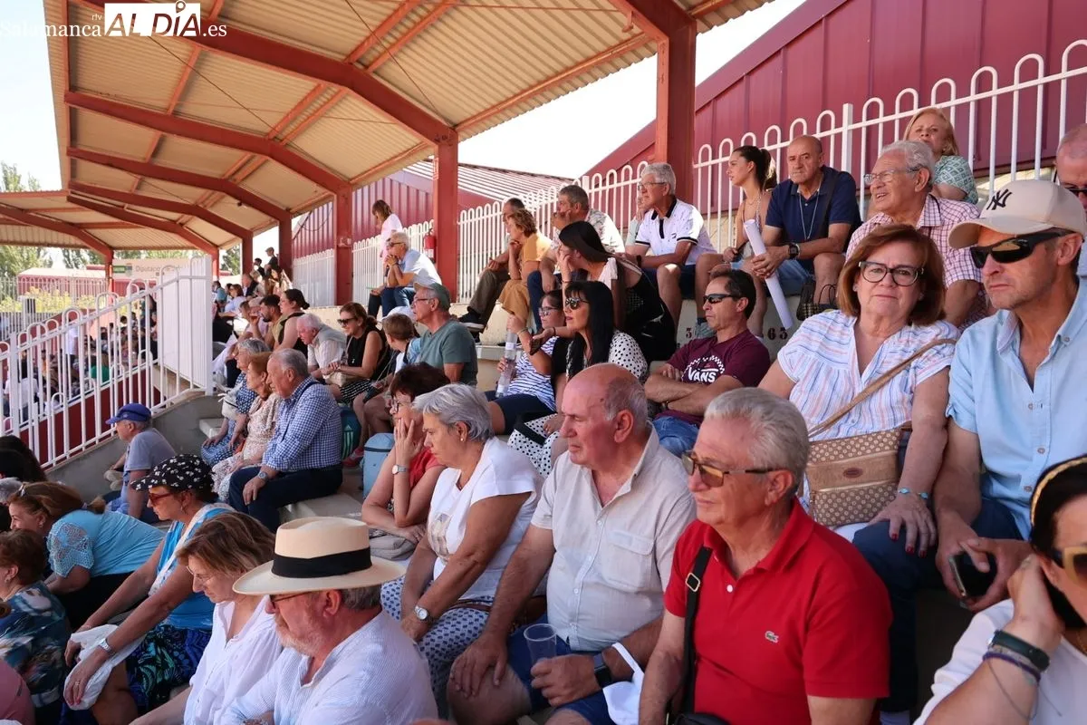 Gran exhibición del Caballo de Deporte Español, el Pura Raza Español y el Raza Árabe | FOTOS: David Sañudo