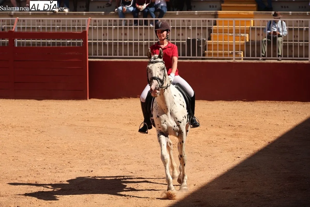 Gran exhibición del Caballo de Deporte Español, el Pura Raza Español y el Raza Árabe | FOTOS: David Sañudo