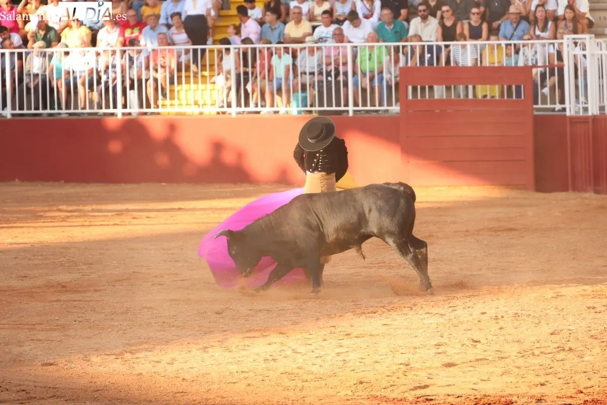 El futuro del toreo salmantino se examina ante seis novillos de Esteban Isidro en Salamaq | FOTOS: David Sañudo