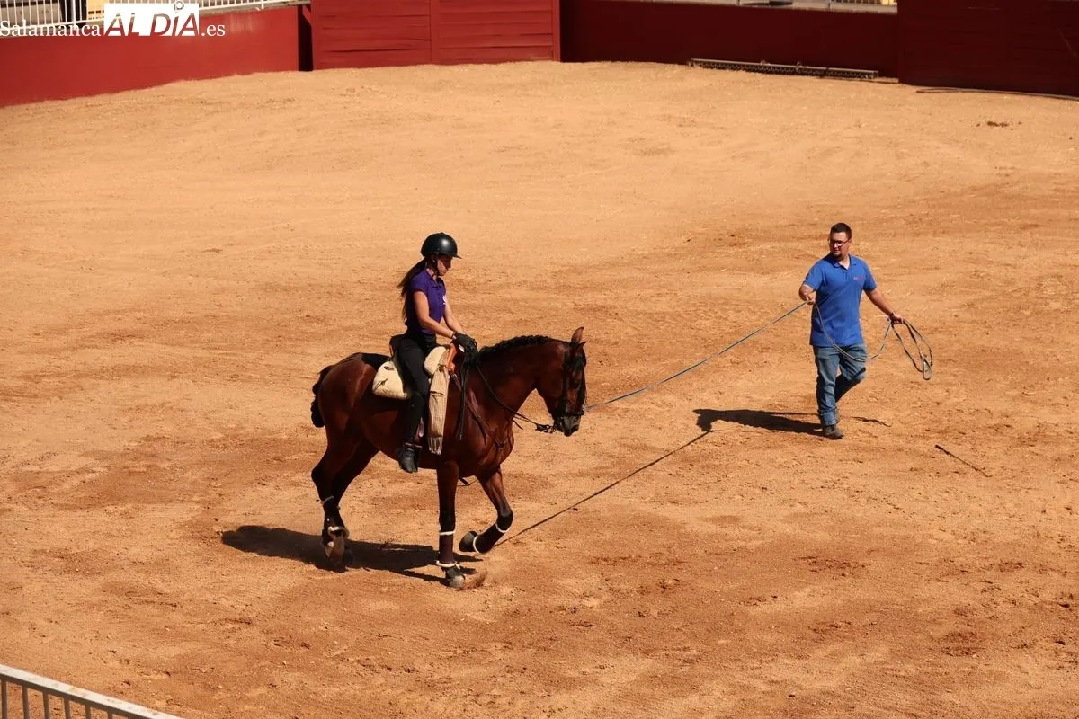 Gran exhibición del Caballo de Deporte Español, el Pura Raza Español y el Raza Árabe | FOTOS: David Sañudo