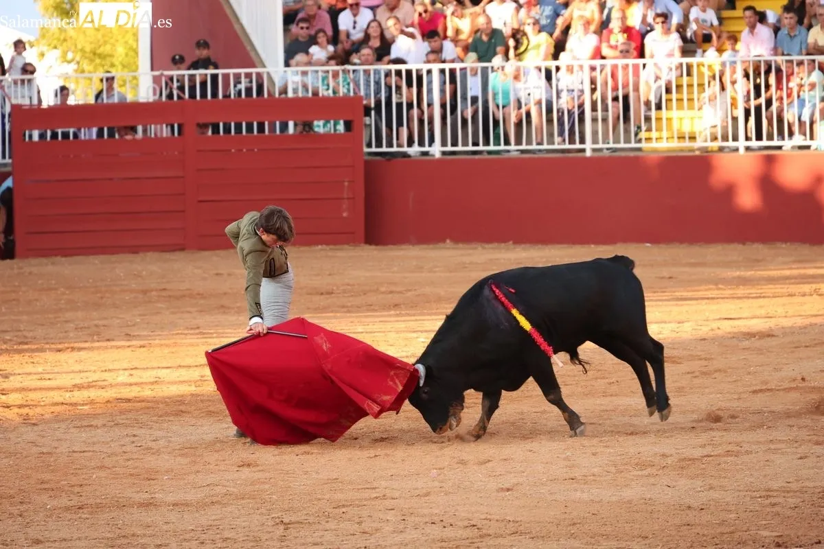 El futuro del toreo salmantino se examina ante seis novillos de Esteban Isidro en Salamaq | FOTOS: David Sañudo
