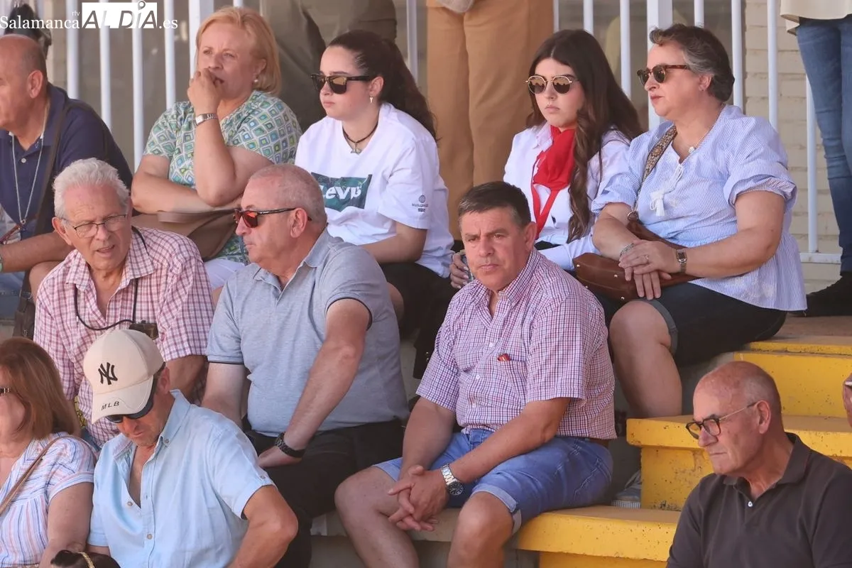 Gran exhibición del Caballo de Deporte Español, el Pura Raza Español y el Raza Árabe | FOTOS: David Sañudo