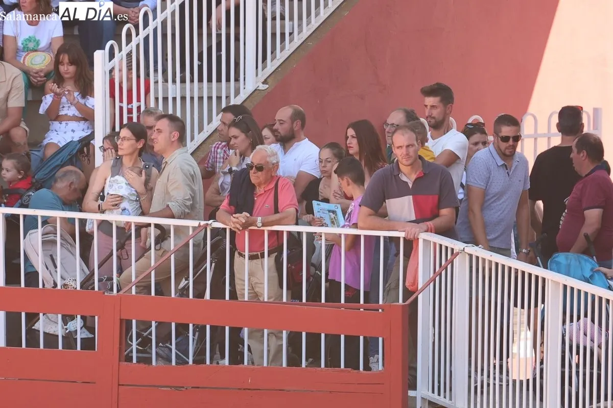 Gran exhibición del Caballo de Deporte Español, el Pura Raza Español y el Raza Árabe | FOTOS: David Sañudo