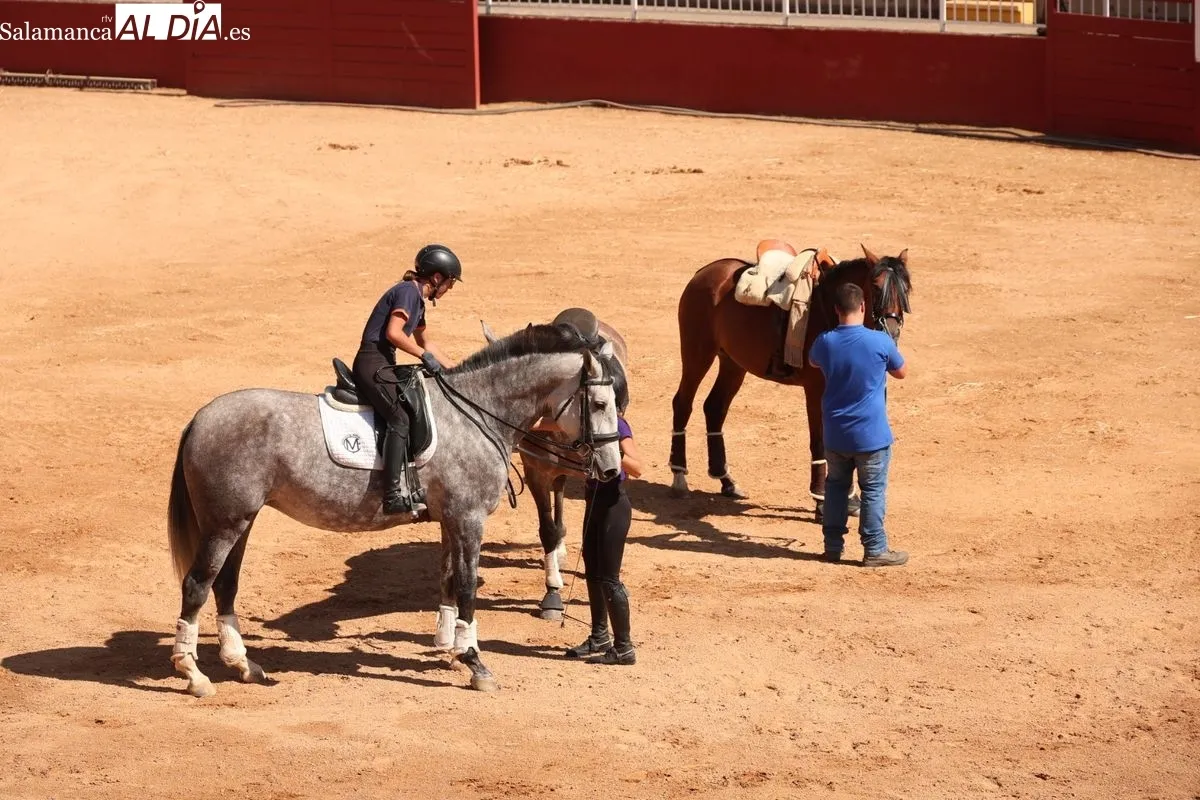 Gran exhibición del Caballo de Deporte Español, el Pura Raza Español y el Raza Árabe | FOTOS: David Sañudo