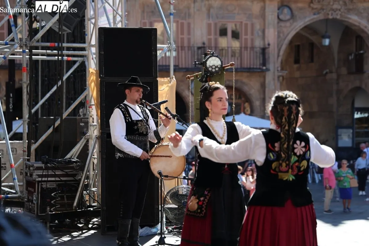 Los tamborileros toman la Plaza Mayor de Salamanca en su XXXVII gran día | FOTOS: David Sañudo 