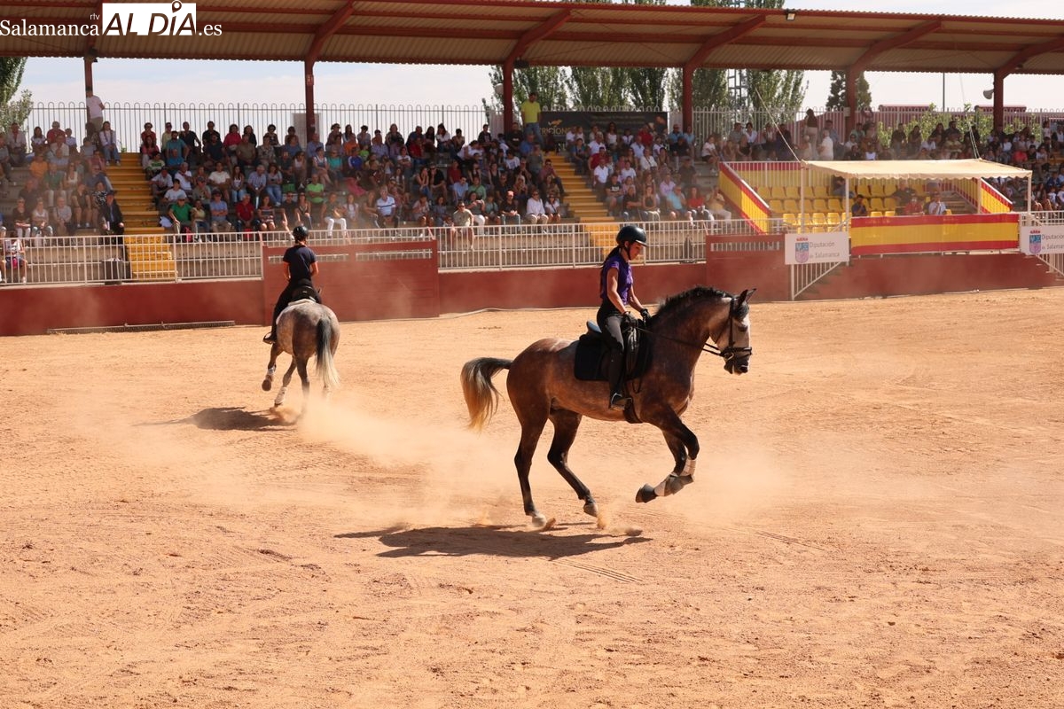 Exhibición de caballos PRE, PRá y CDE: belleza y doma