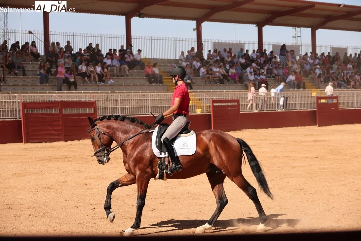 Gran exhibición del Caballo de Deporte Español, el Pura Raza Español y el Raza Árabe | FOTOS: David Sañudo