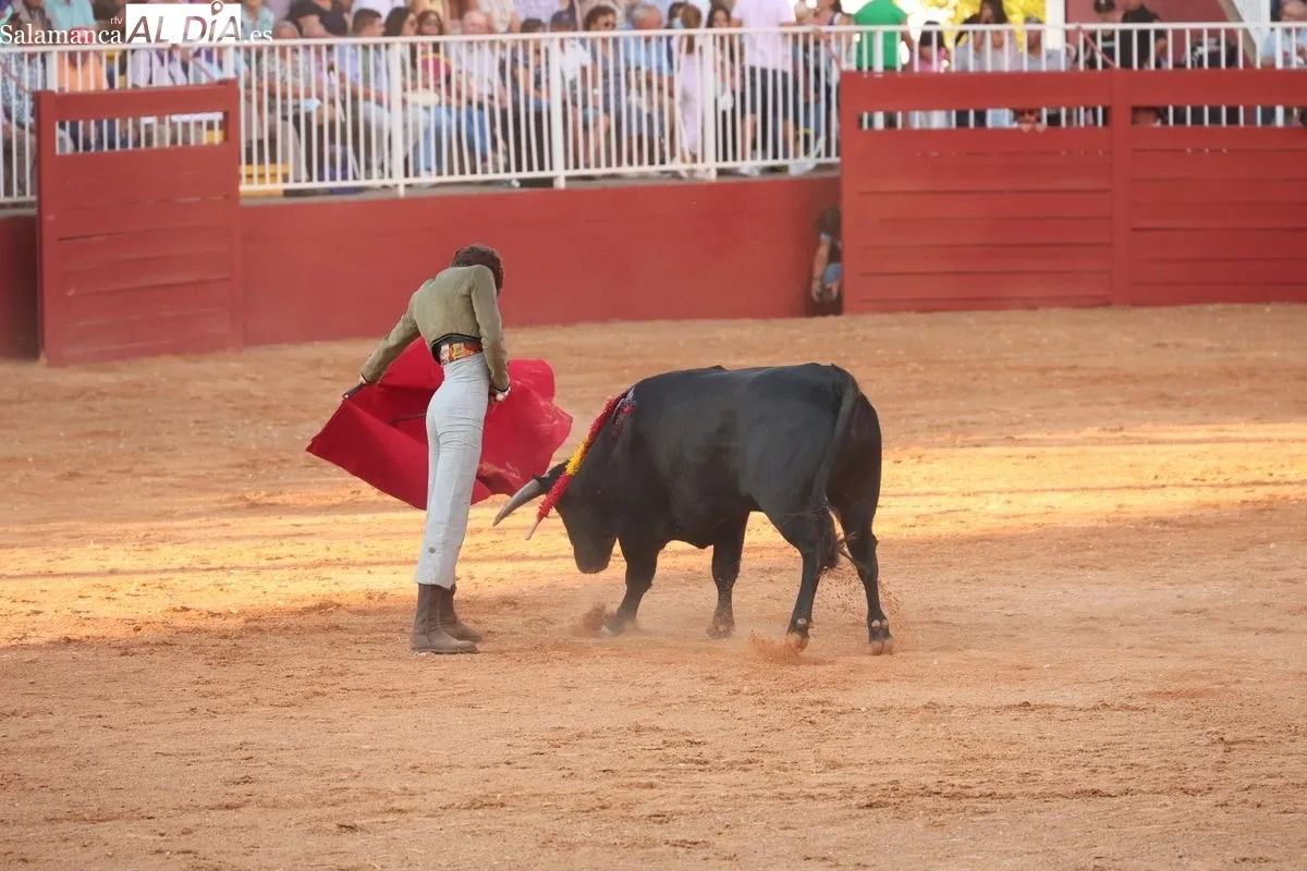 El futuro del toreo salmantino se examina ante seis novillos de Esteban Isidro en Salamaq | FOTOS: David Sañudo