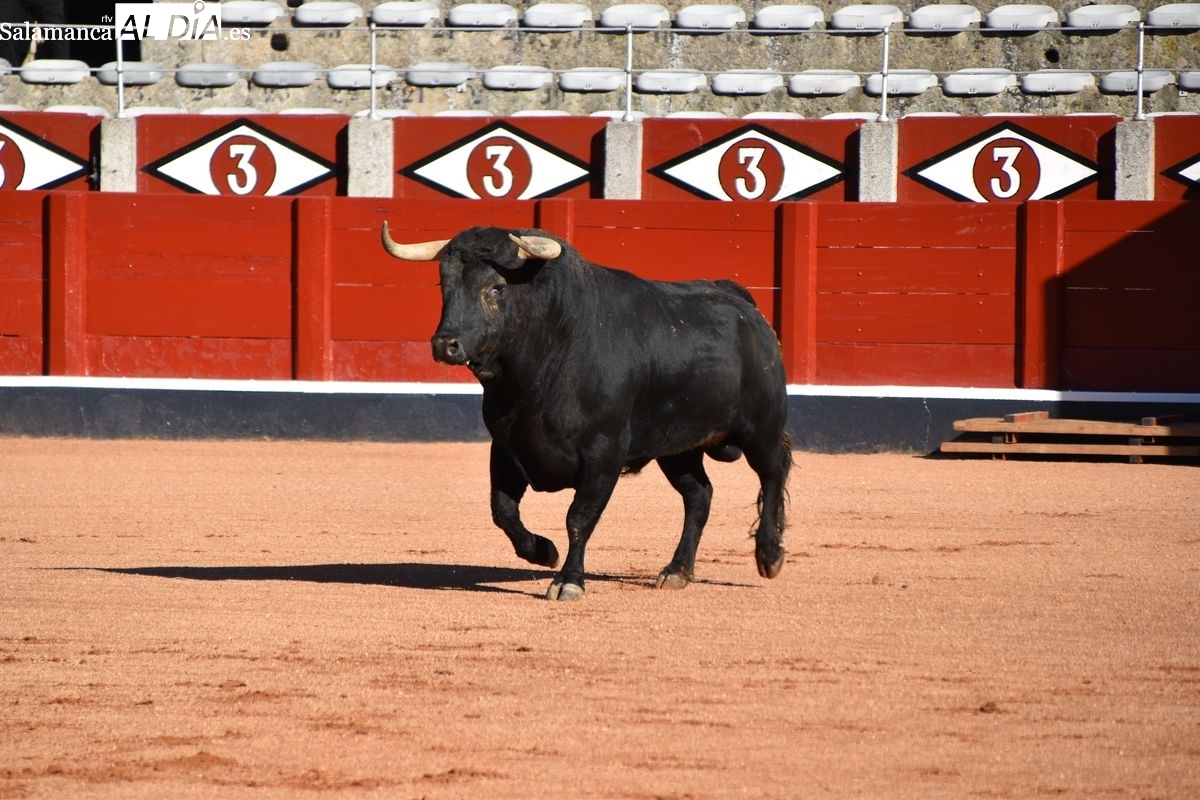 AL HILO DE LAS TABLAs (El Desenjaule)