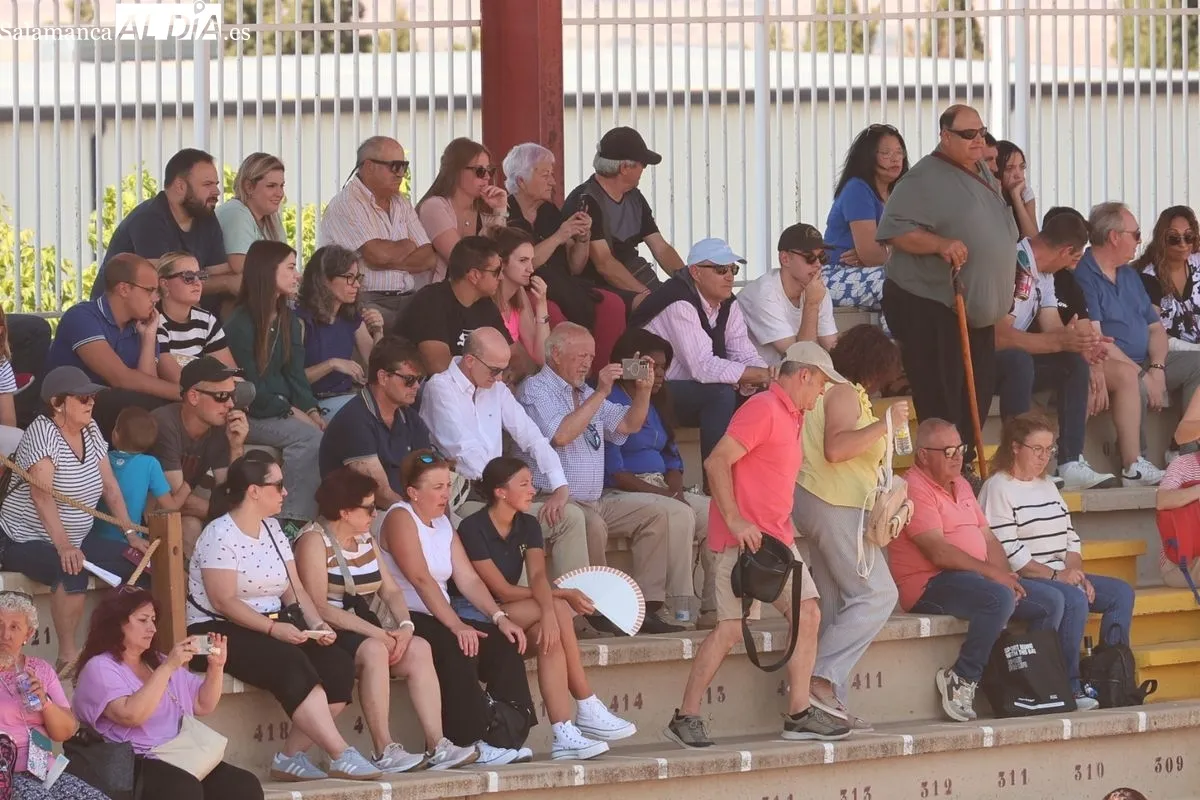 Gran exhibición del Caballo de Deporte Español, el Pura Raza Español y el Raza Árabe | FOTOS: David Sañudo