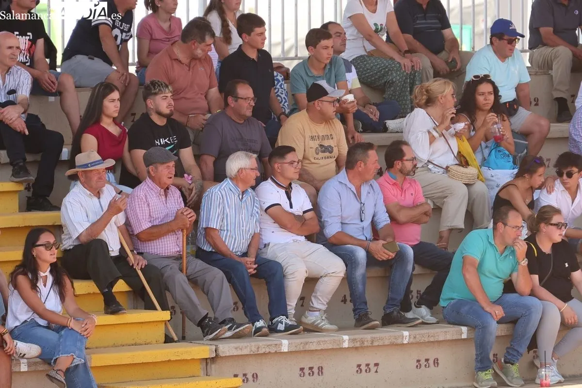 Gran exhibición del Caballo de Deporte Español, el Pura Raza Español y el Raza Árabe | FOTOS: David Sañudo