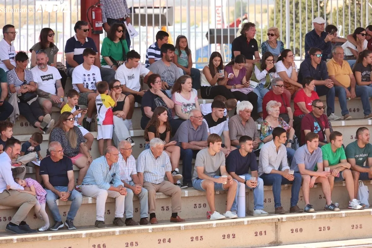 Gran exhibición del Caballo de Deporte Español, el Pura Raza Español y el Raza Árabe | FOTOS: David Sañudo