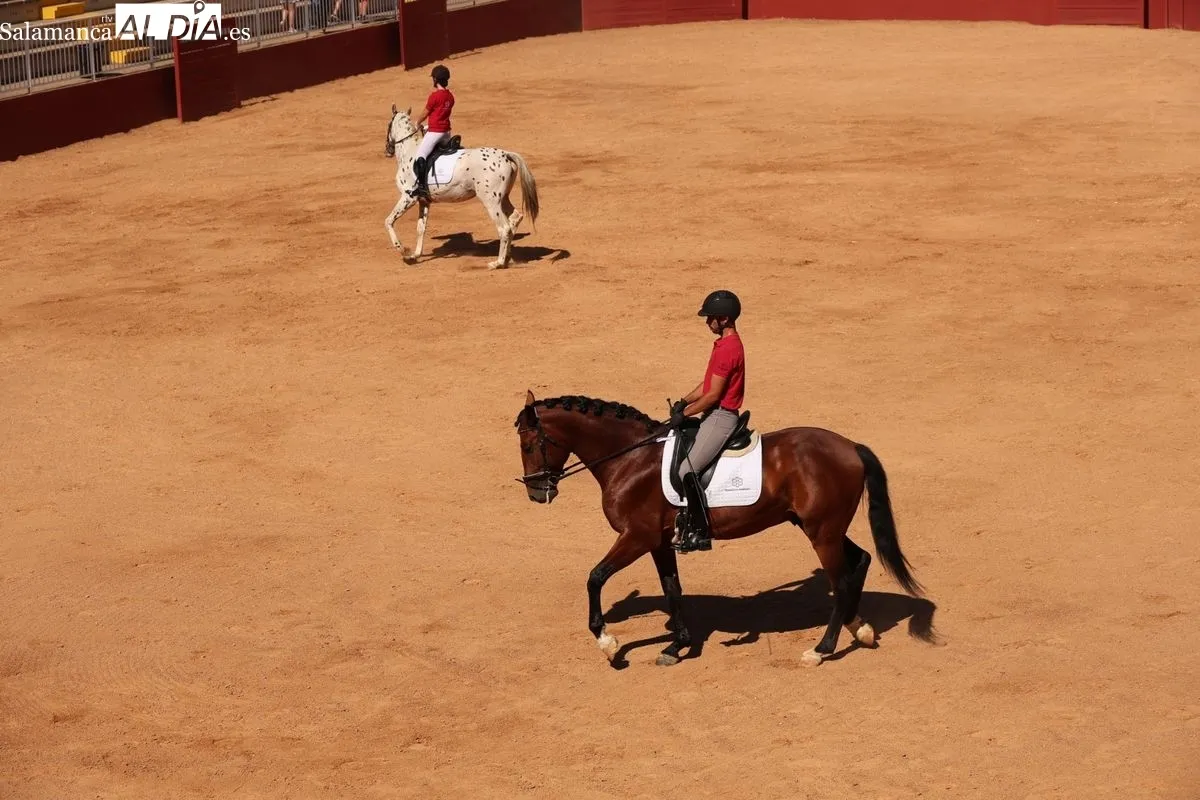 Gran exhibición del Caballo de Deporte Español, el Pura Raza Español y el Raza Árabe | FOTOS: David Sañudo