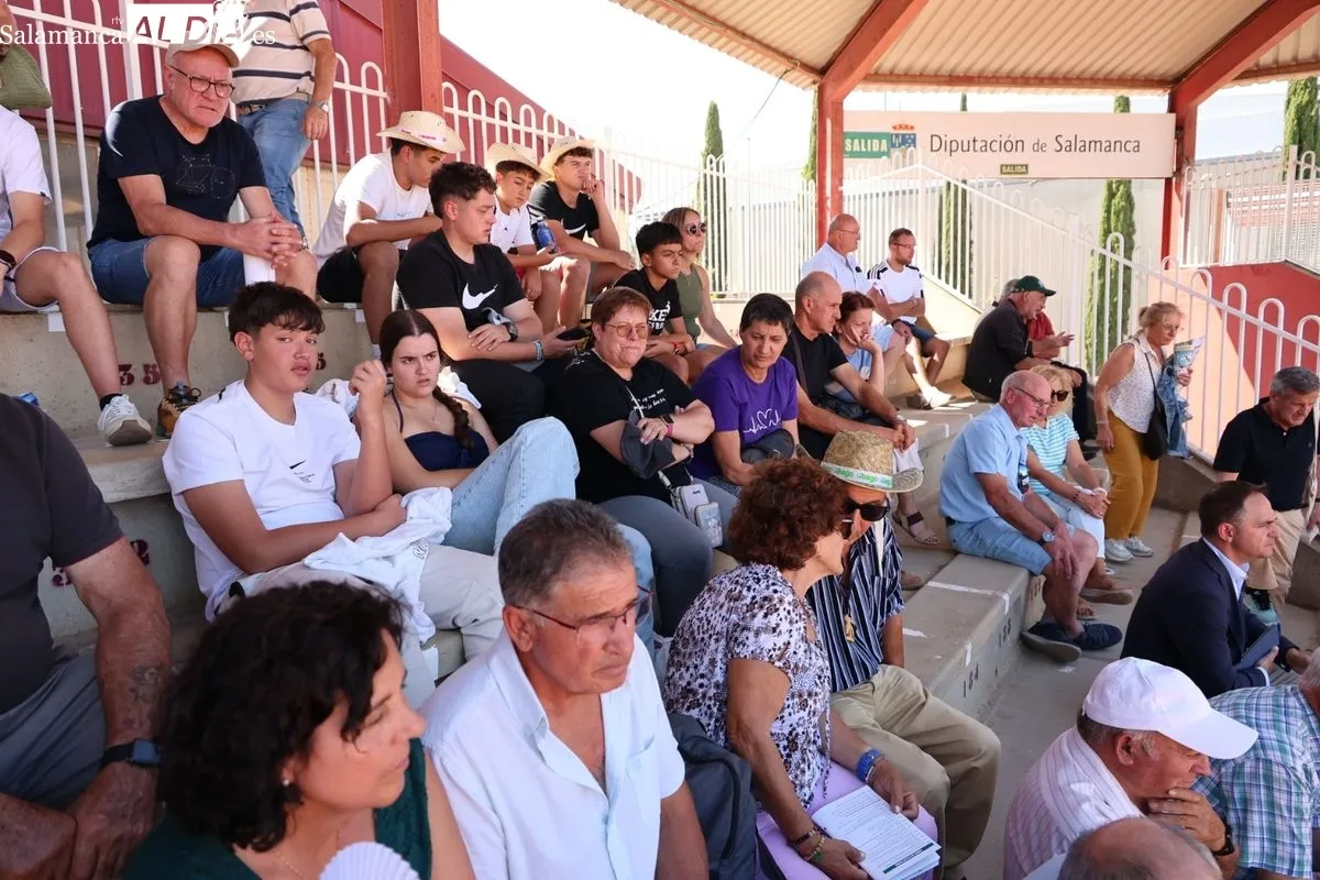 Gran exhibición del Caballo de Deporte Español, el Pura Raza Español y el Raza Árabe | FOTOS: David Sañudo