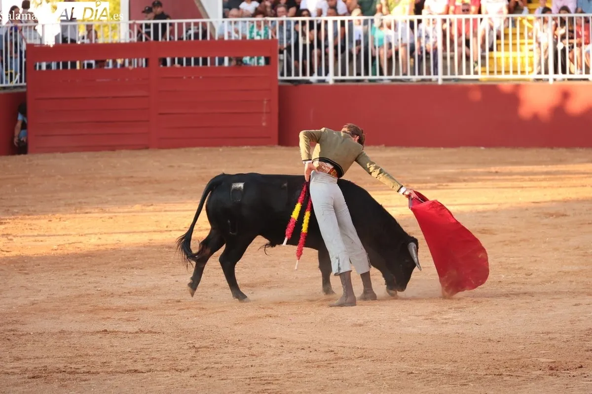 El futuro del toreo salmantino se examina ante seis novillos de Esteban Isidro en Salamaq | FOTOS: David Sañudo