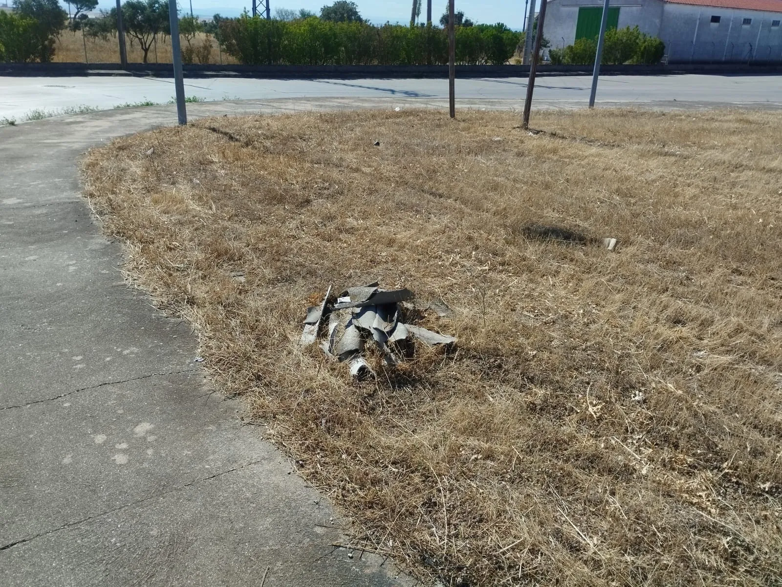 Foto 7 - Pe&ntilde;aranda en Com&uacute;n denuncia la situaci&oacute;n de abandono de las zonas verdes del pol&iacute;gono industrial El Inestal