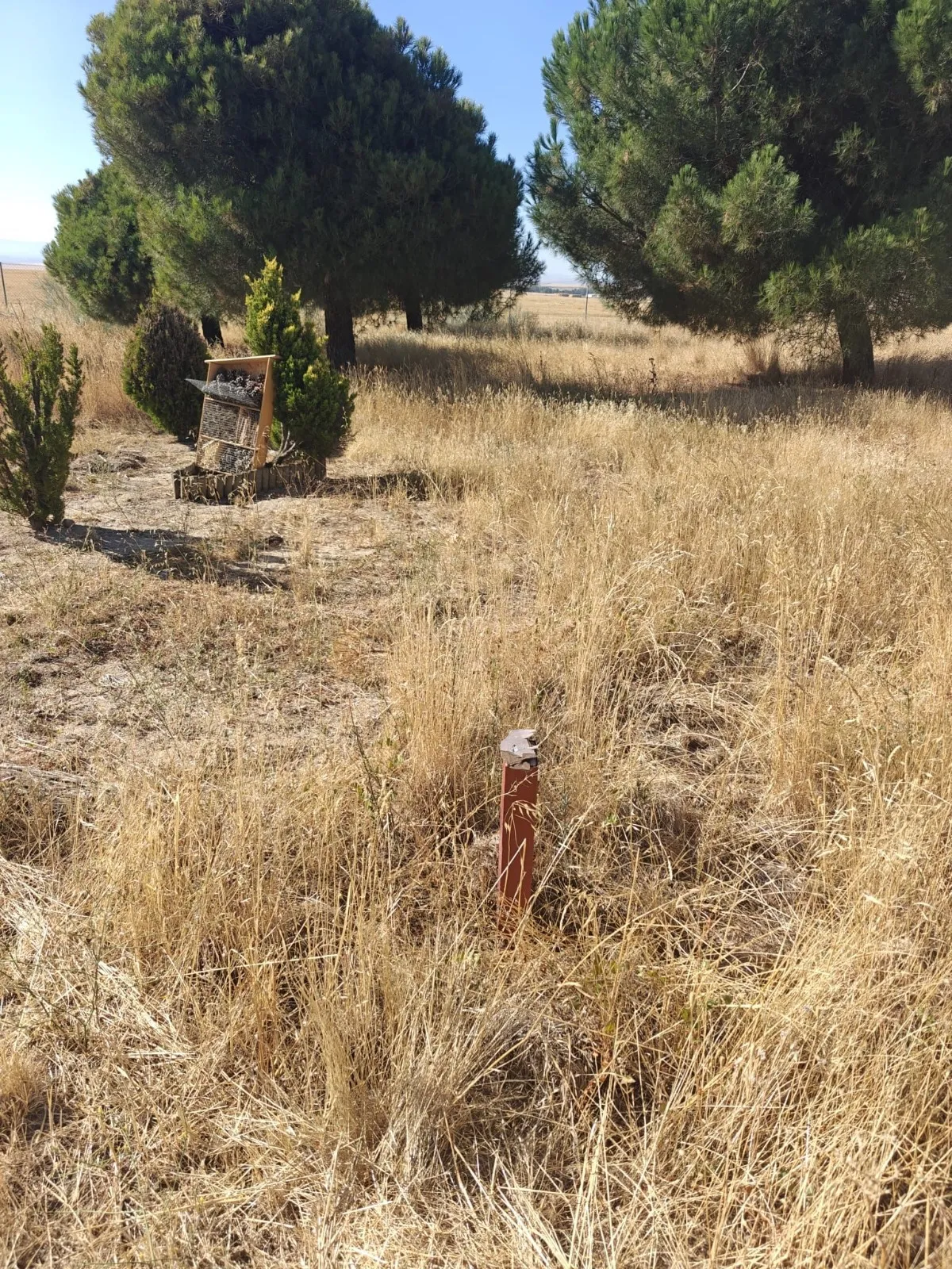 Imágenes del Parque El Inestal. Partido Popular
